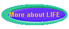 More about LIFE