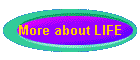 More about LIFE